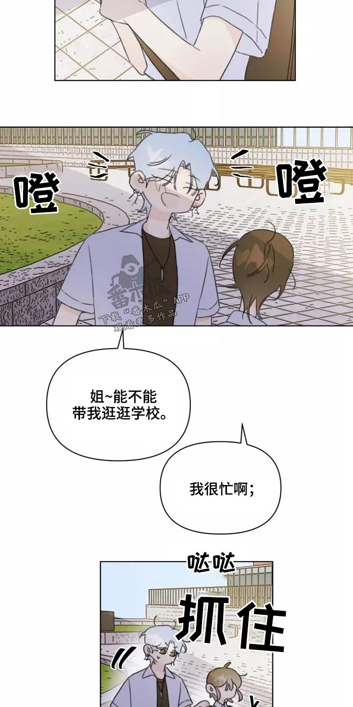 第39章：篮球13