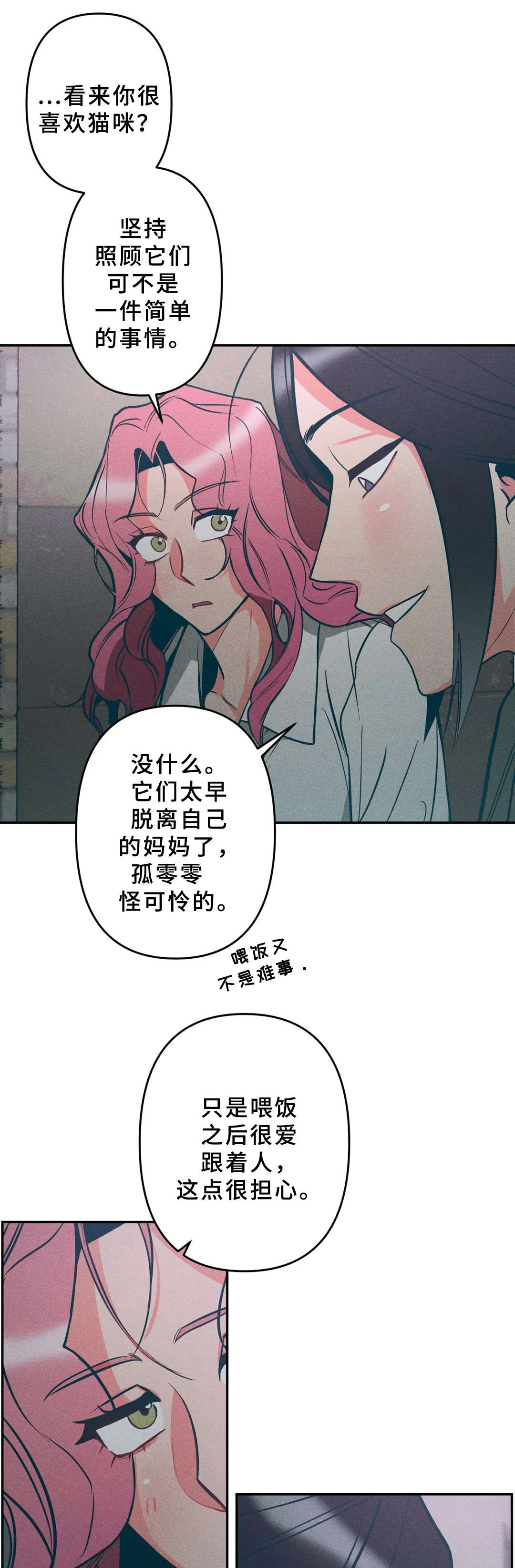 第15章：小猫10