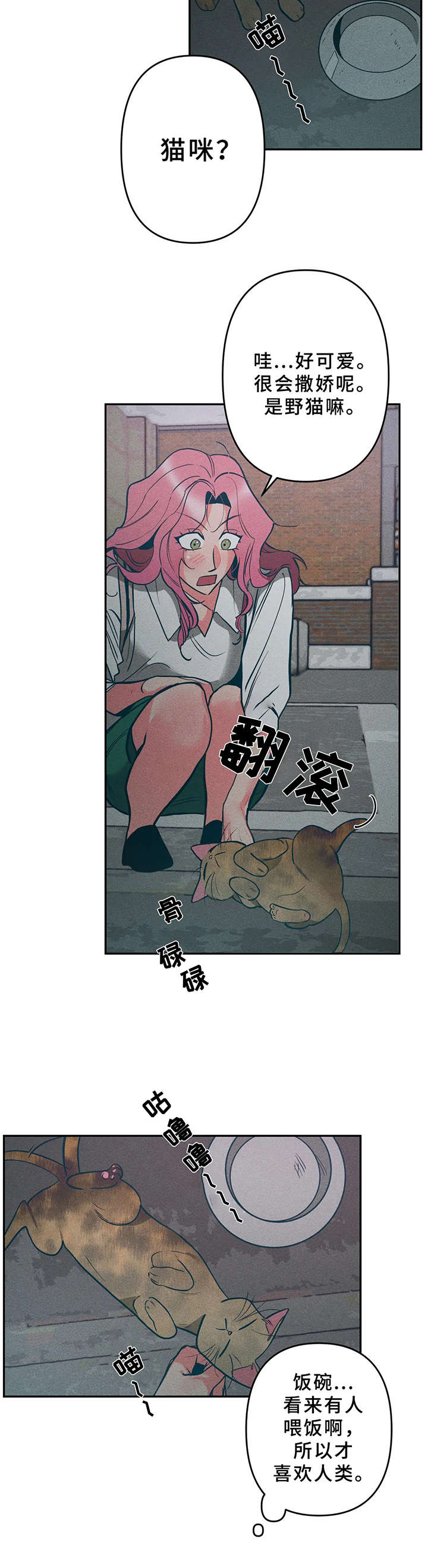 第15章：小猫6