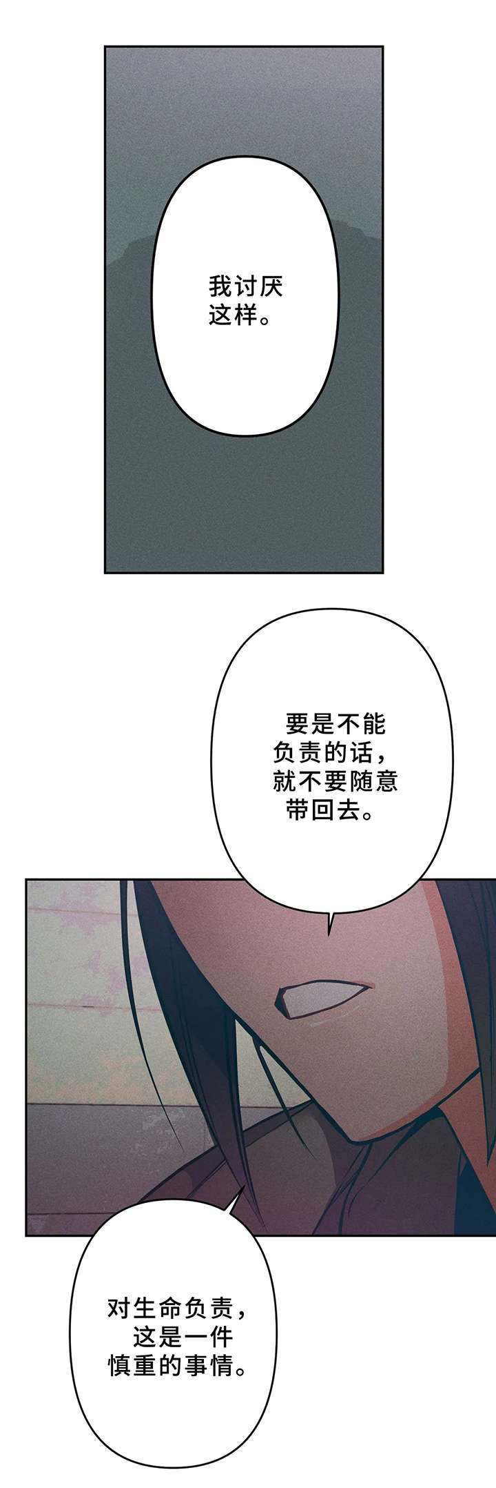 第15章：小猫12