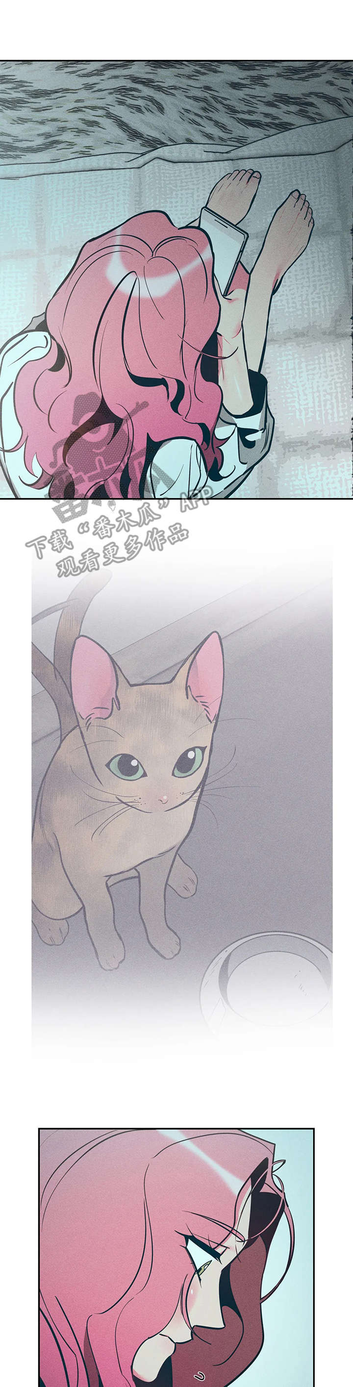 第17章：麻烦6