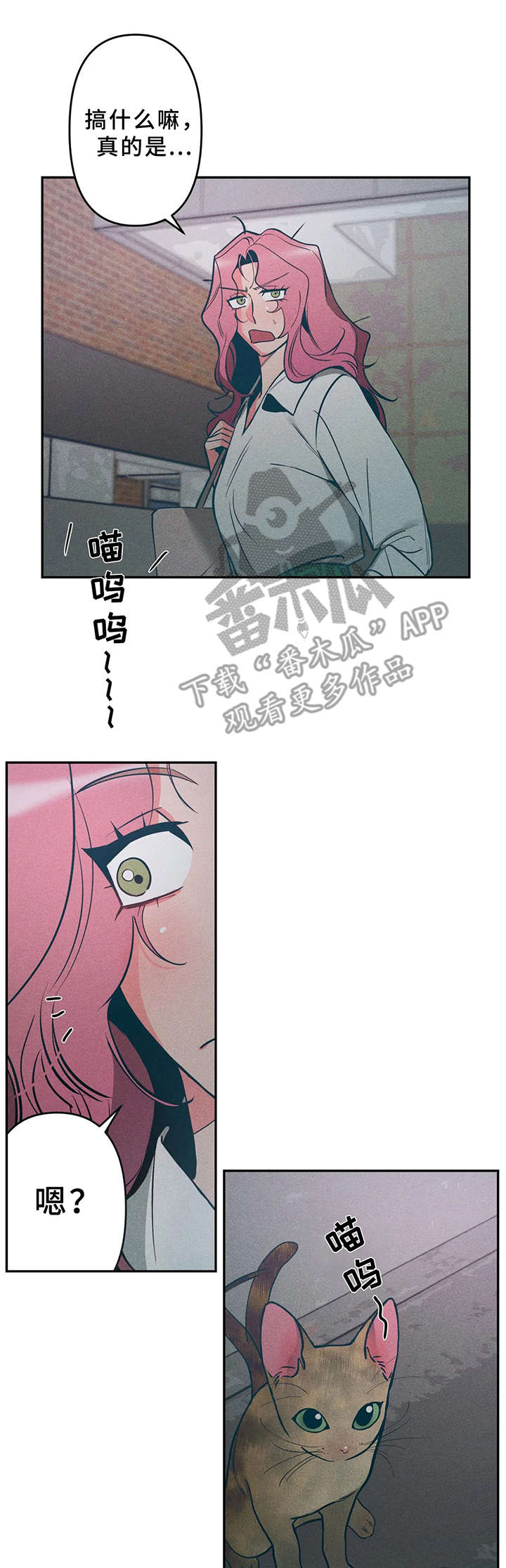 第15章：小猫5