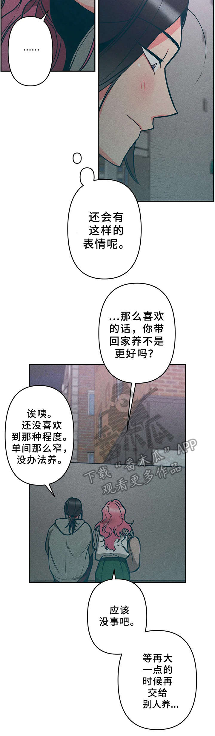 第15章：小猫11