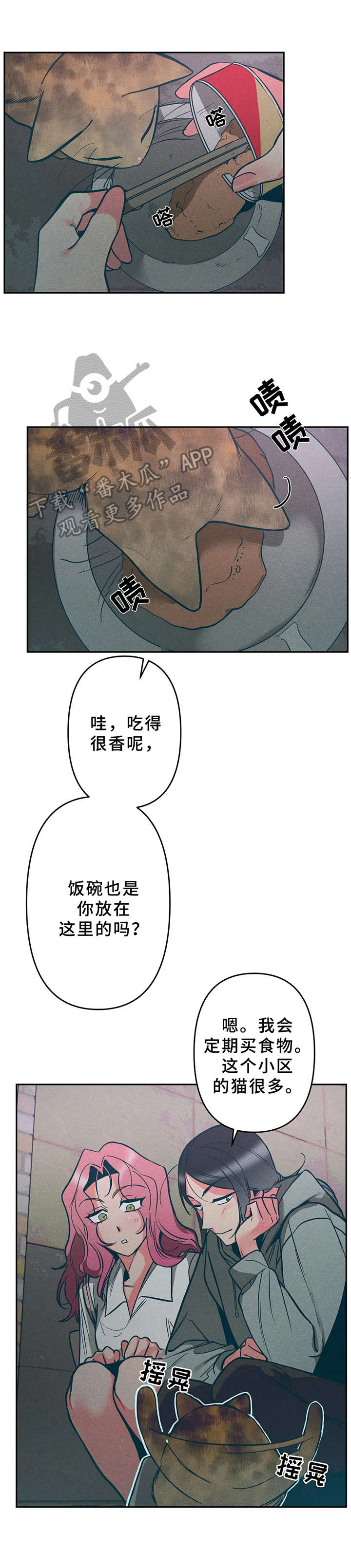 第15章：小猫9