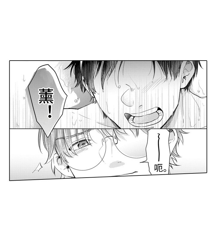 第23章：味道12