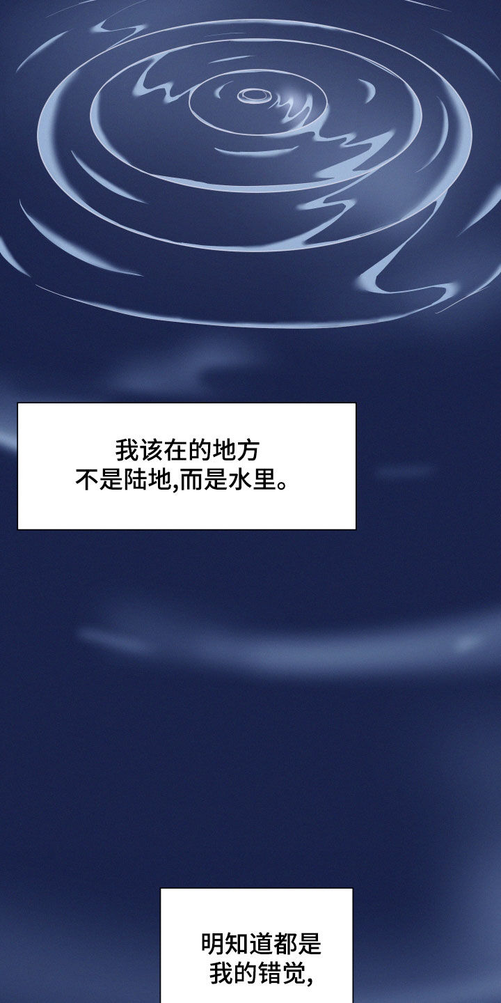 第37章：错觉20