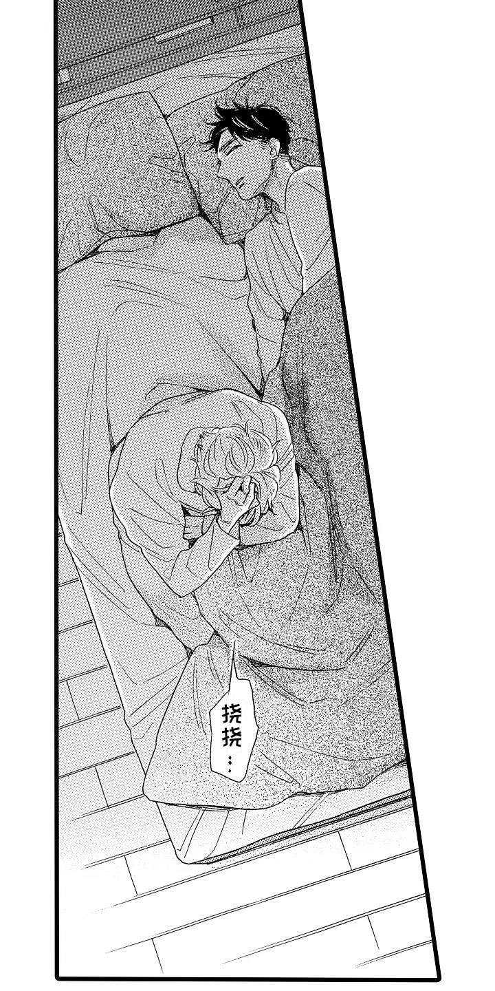 第15章：光明正大8