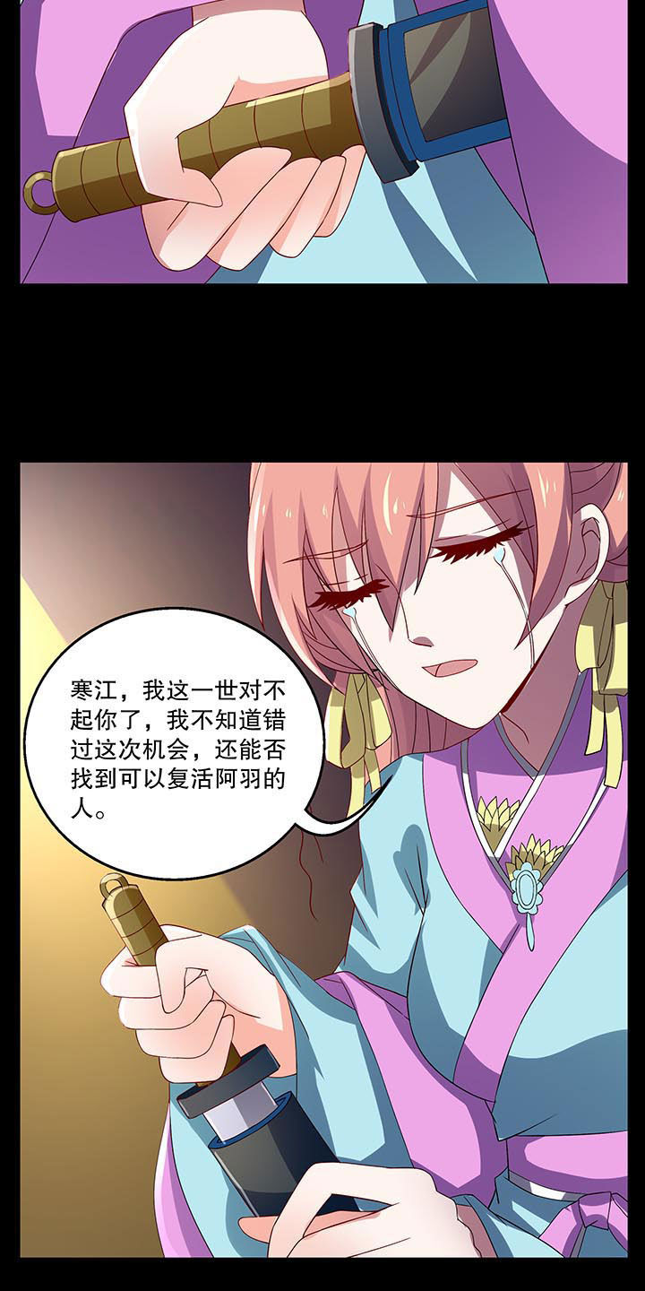 第41章：3