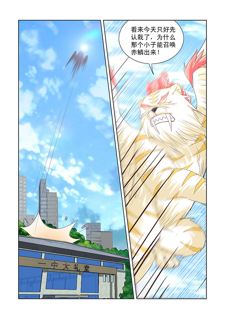 第41章：5