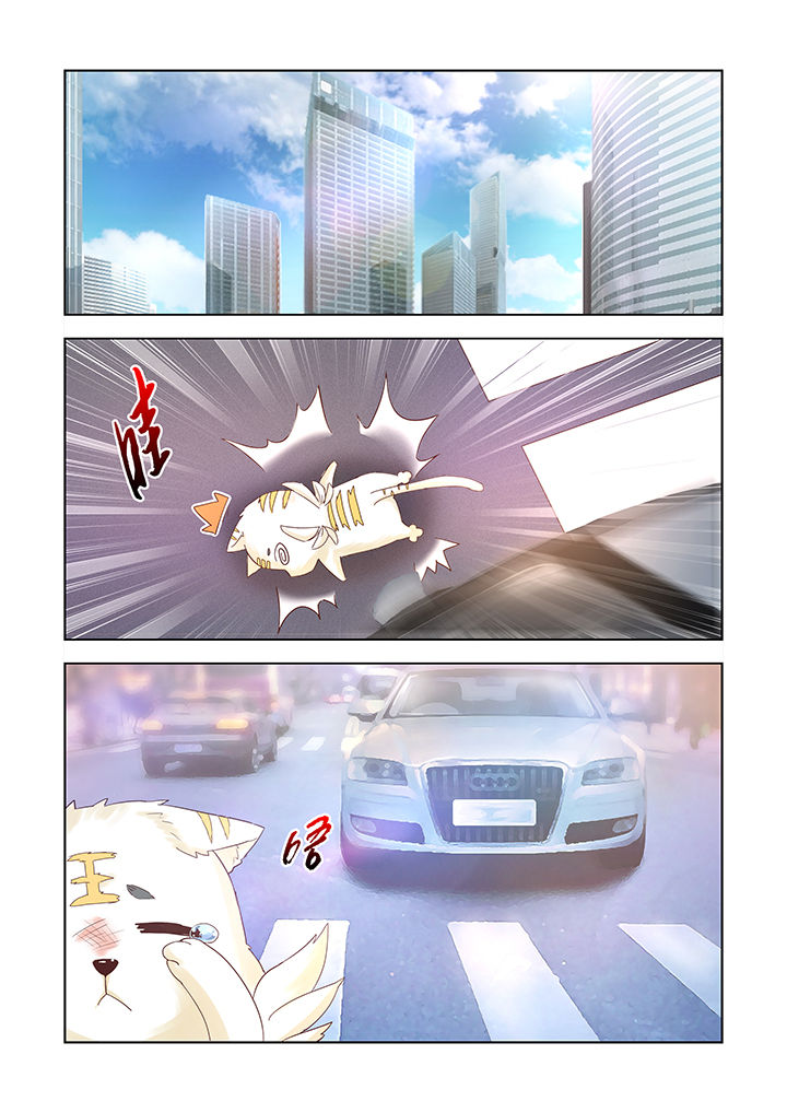 第6章：11