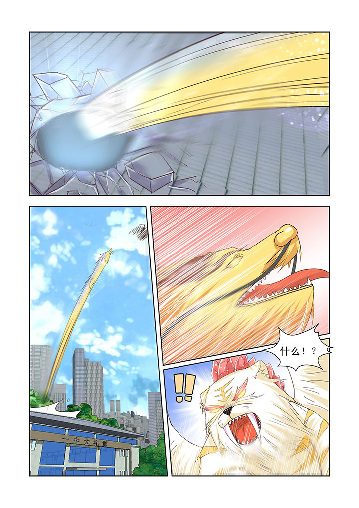 第41章：6