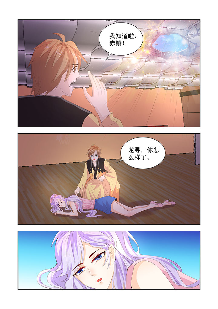 第43章：5