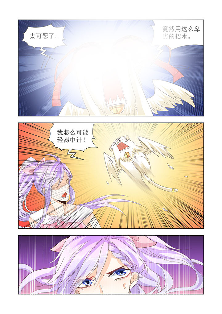 第31章：7