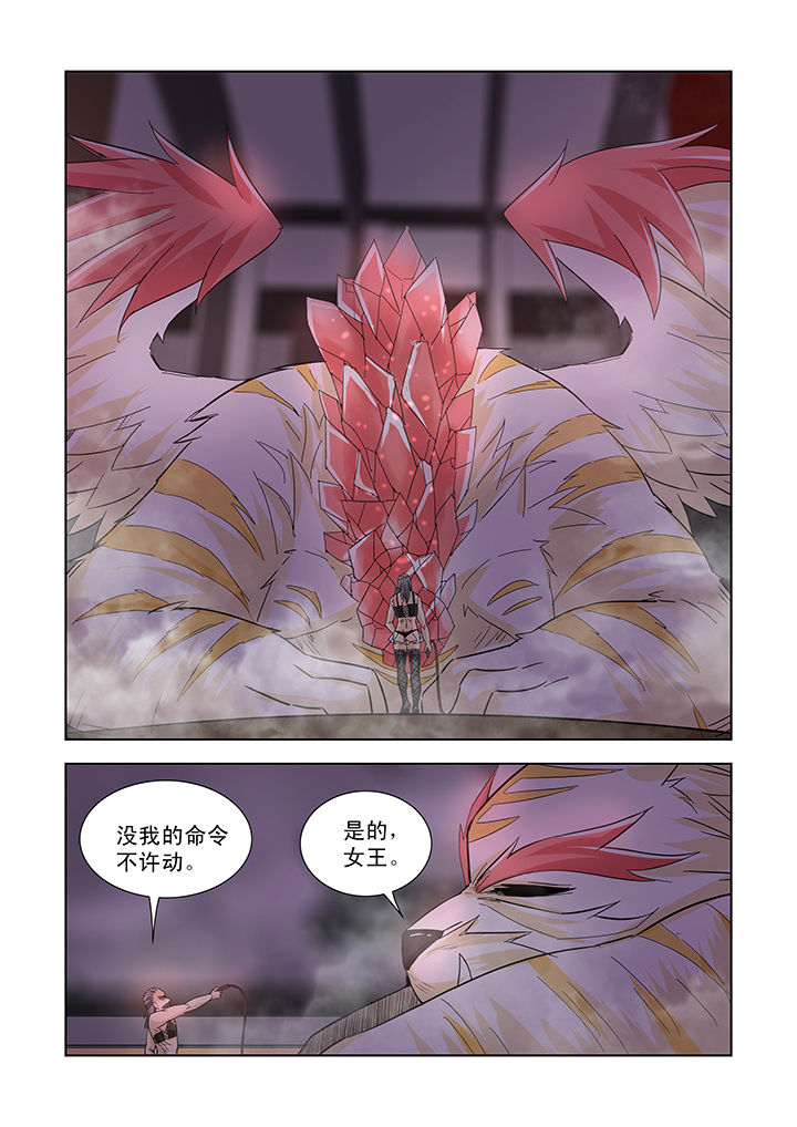 第36章：6