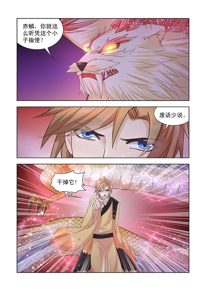 第41章：1