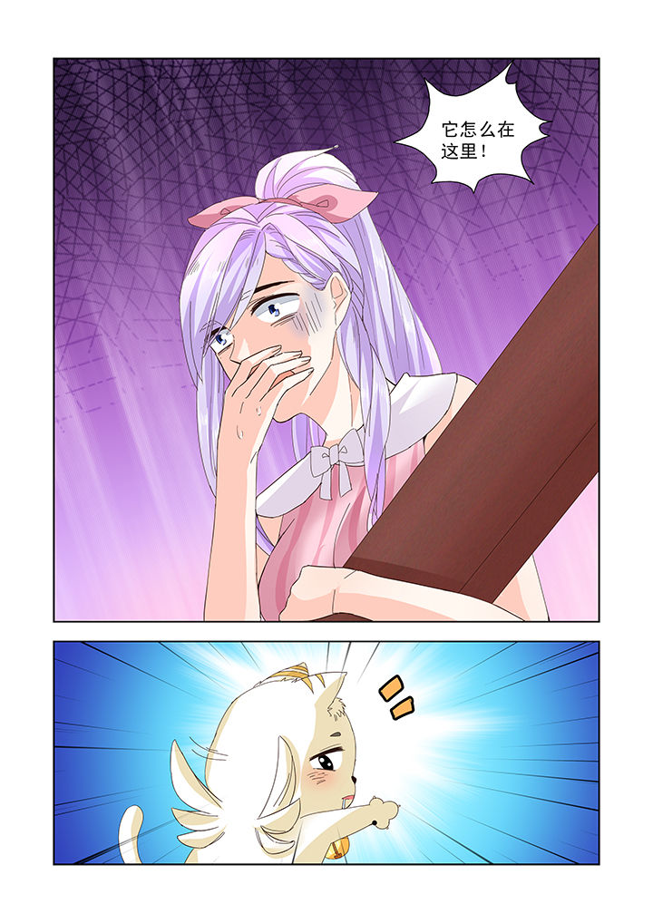 第16章：9