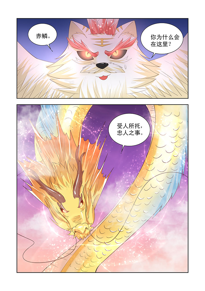 第39章：6