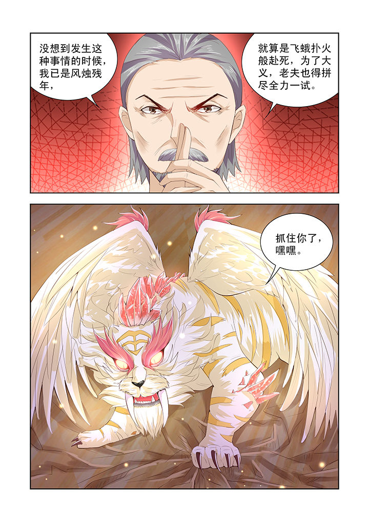 第33章：4