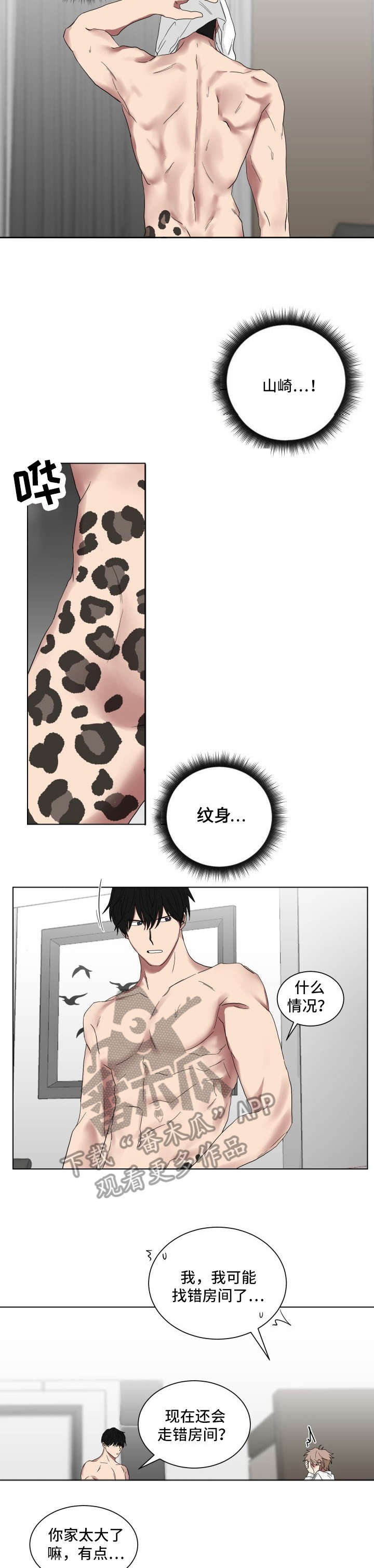 第12章：纹身5
