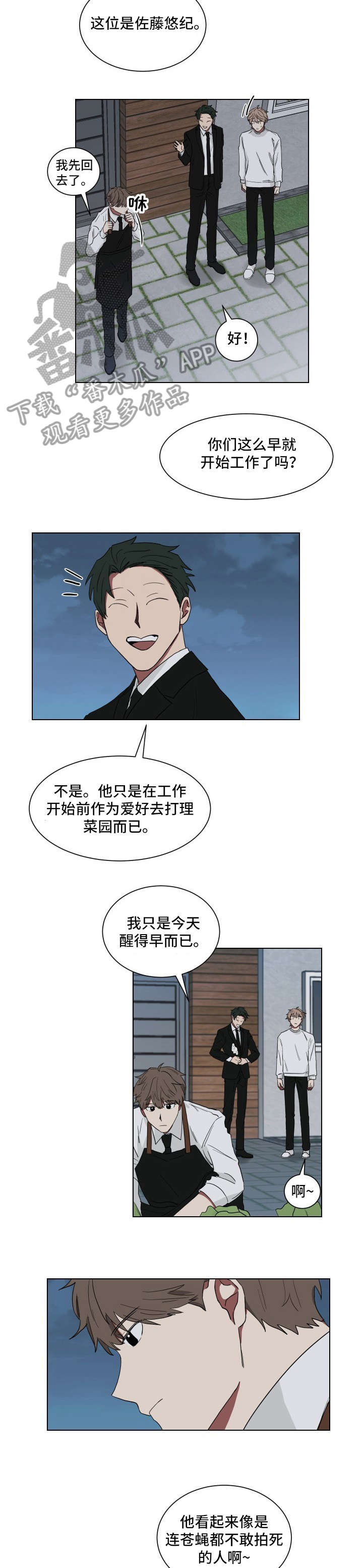 第11章：乱糟糟8