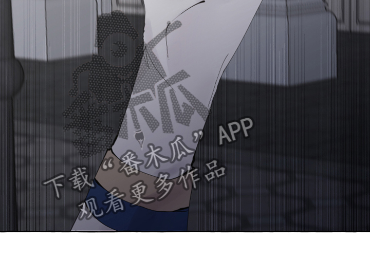 第101章：【番外】从未喜欢过15