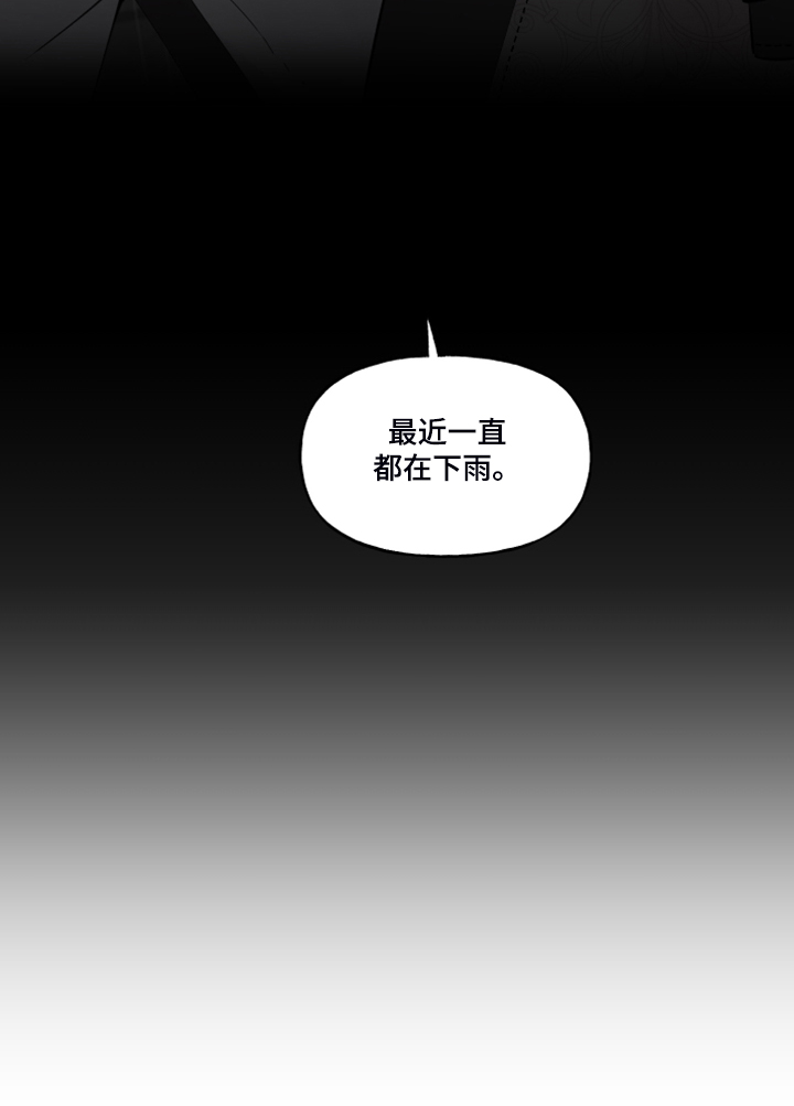 第99章：【番外】又下雨了24