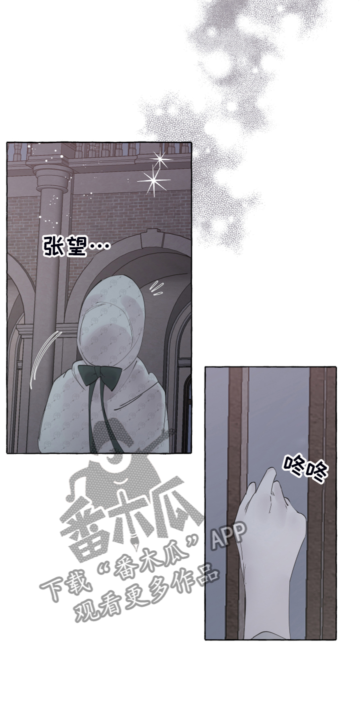 第101章：【番外】从未喜欢过6