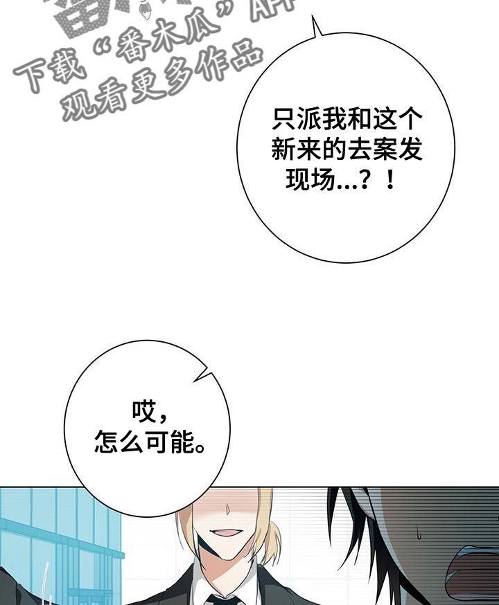 第15章：特别的10