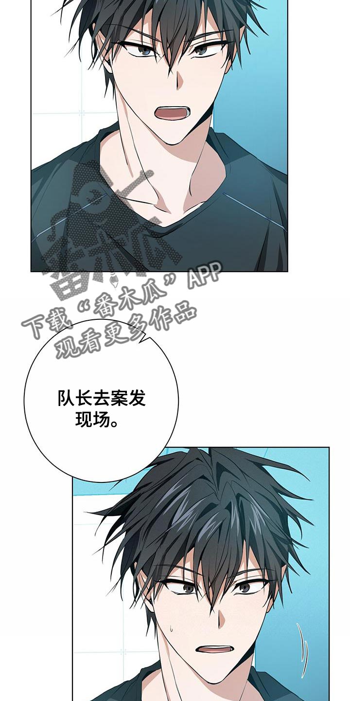 第15章：特别的6