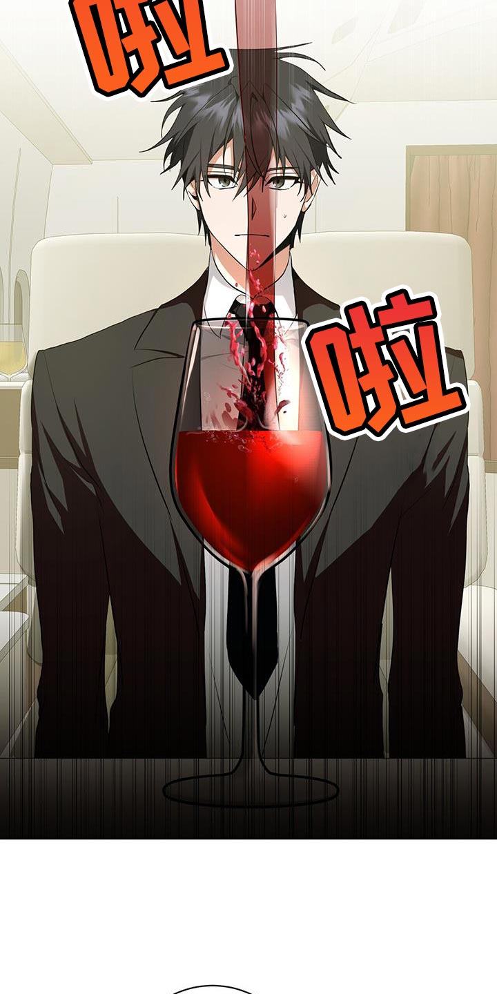 第27章：私人飞机2