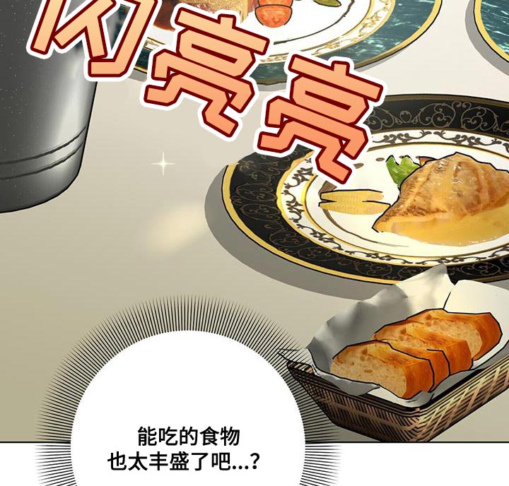 第27章：私人飞机9