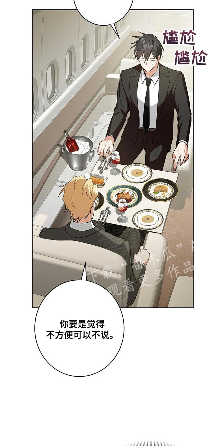 第27章：私人飞机17