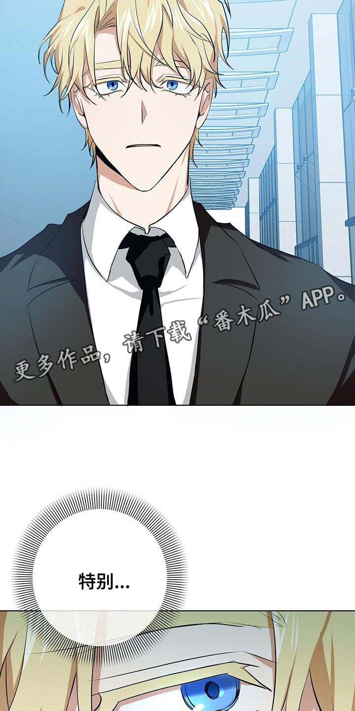 第15章：特别的31