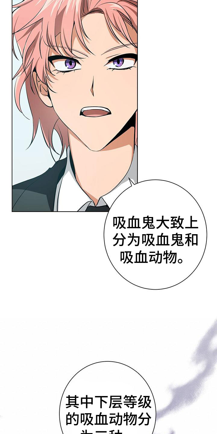第11章：新人培训6