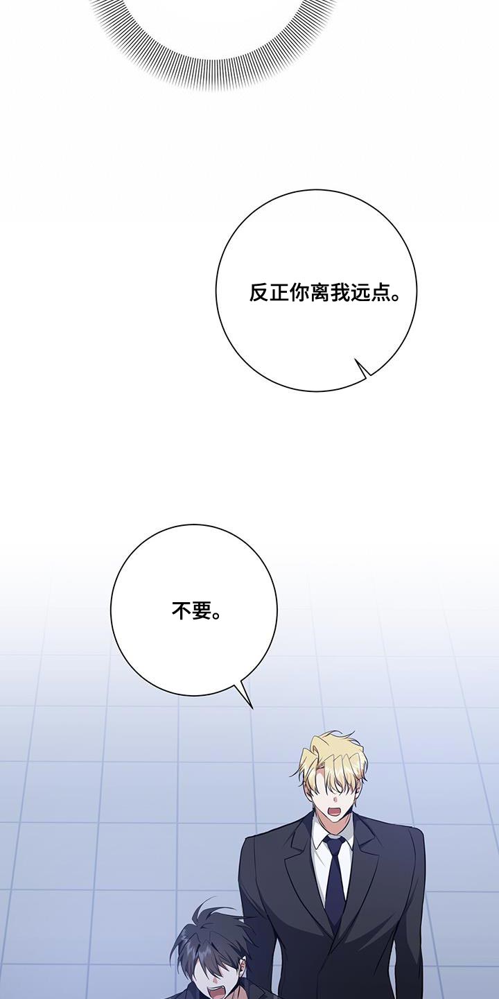 第36章：或许可以试试17