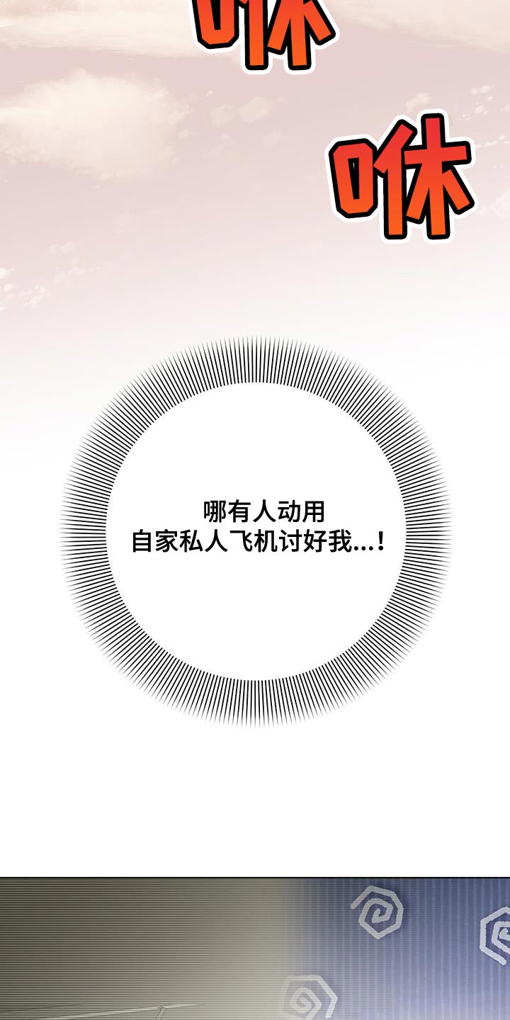 第27章：私人飞机6