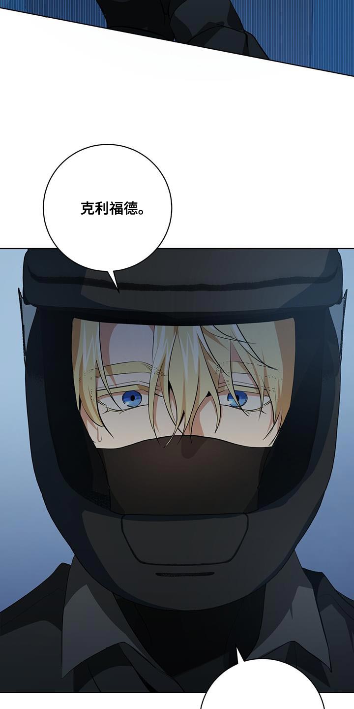 第21章：你的搭档10