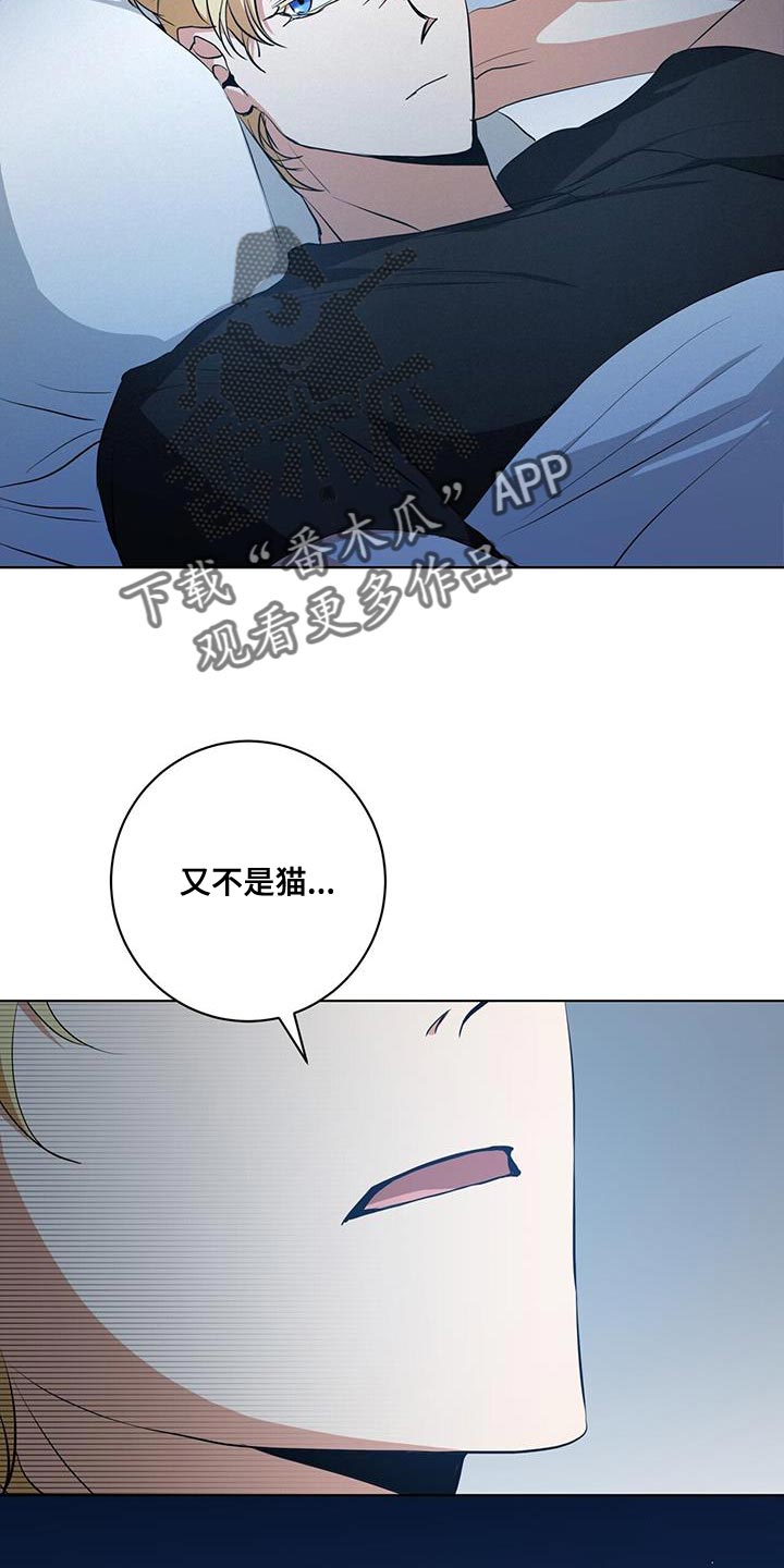 第25章：为什么没人叫我！14