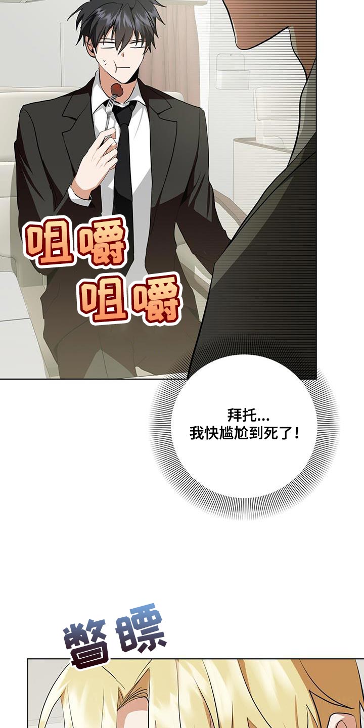 第27章：私人飞机24