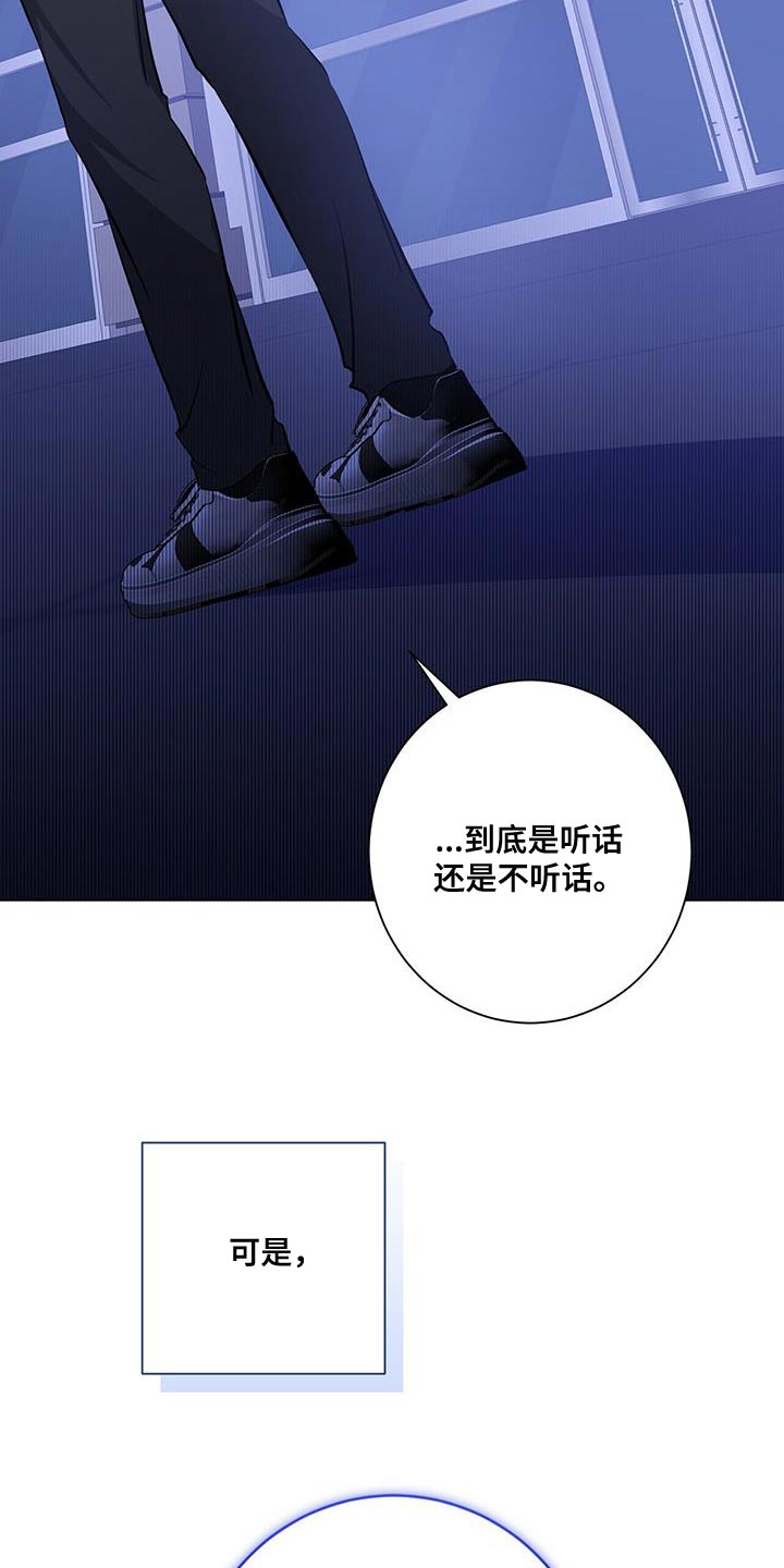 第36章：或许可以试试26