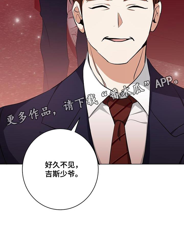 第27章：私人飞机31