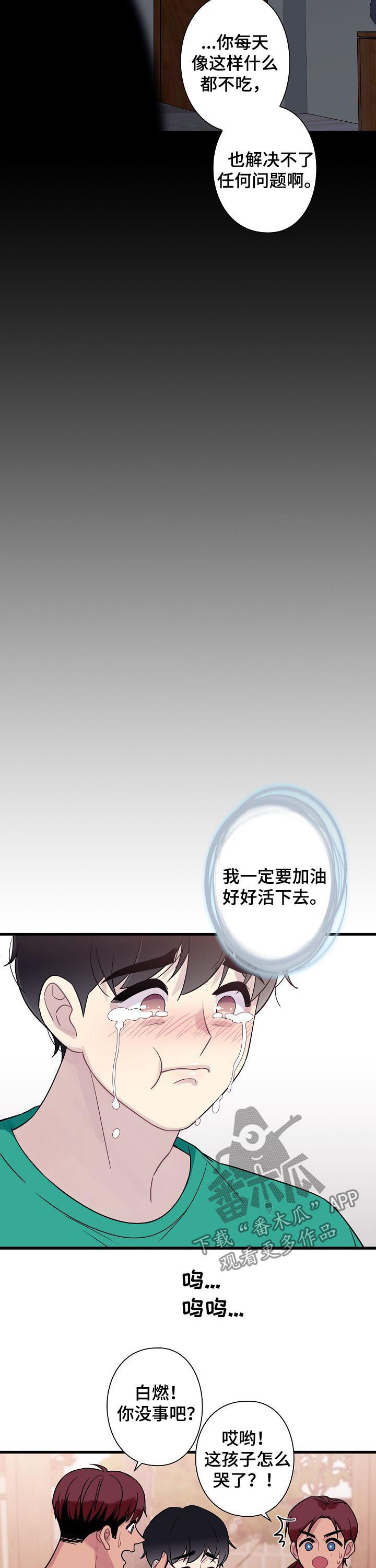 第56章：【番外】宠儿8
