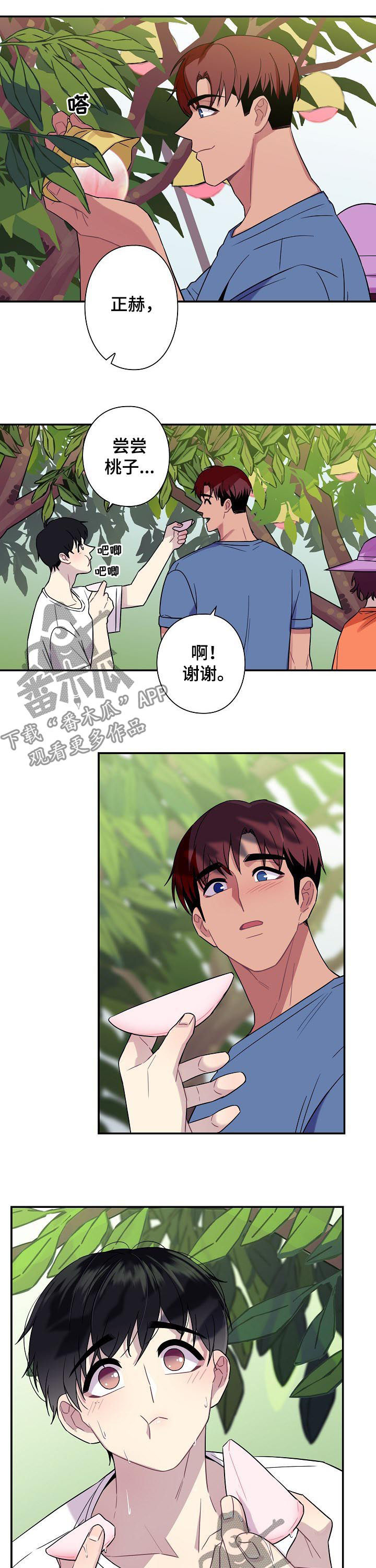 第59章：【番外】摘桃子3