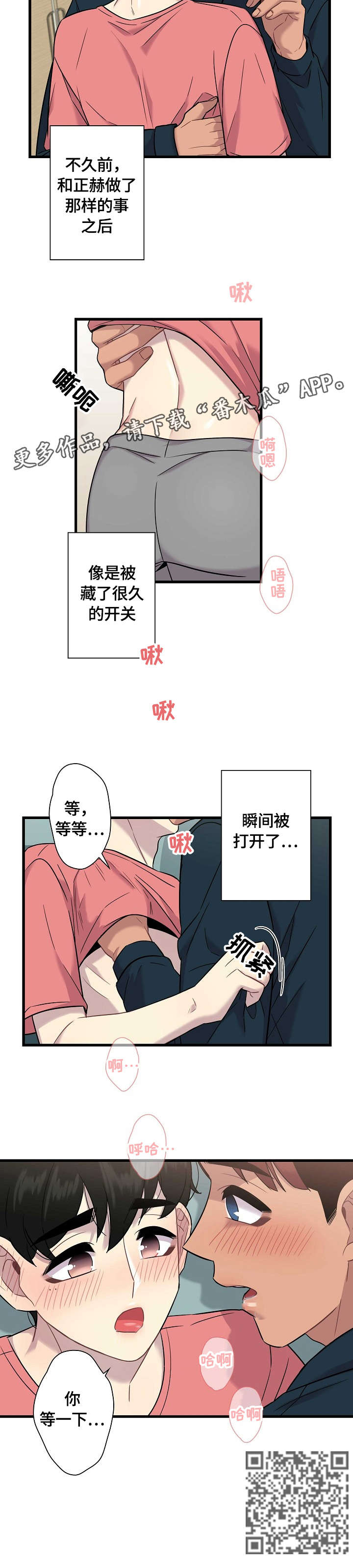 第17章：开关11