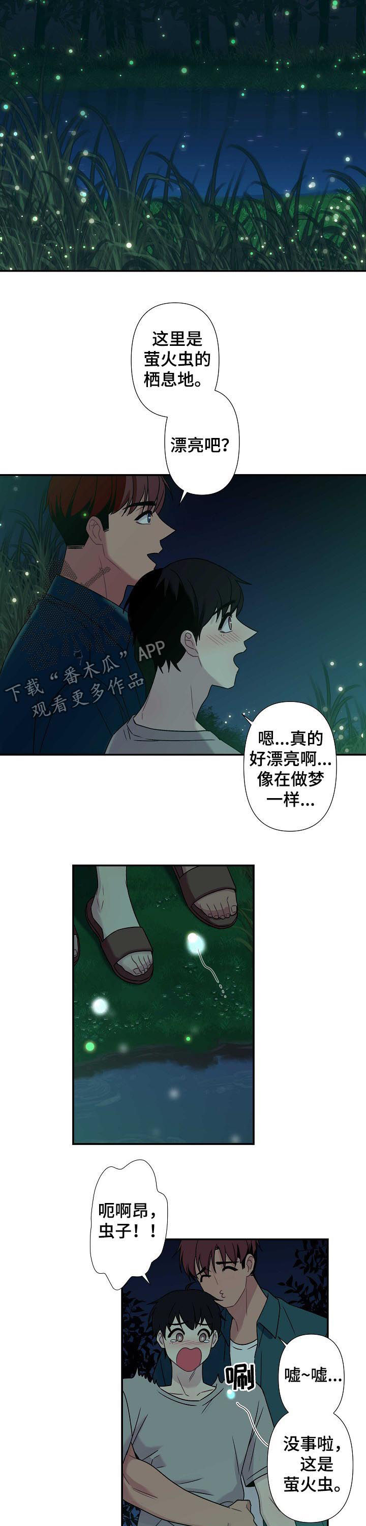 第61章：【番外】萤火虫10