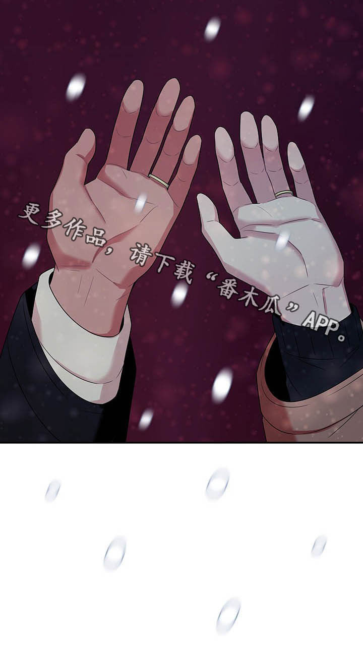 第76章：【番外完结】下雪了9