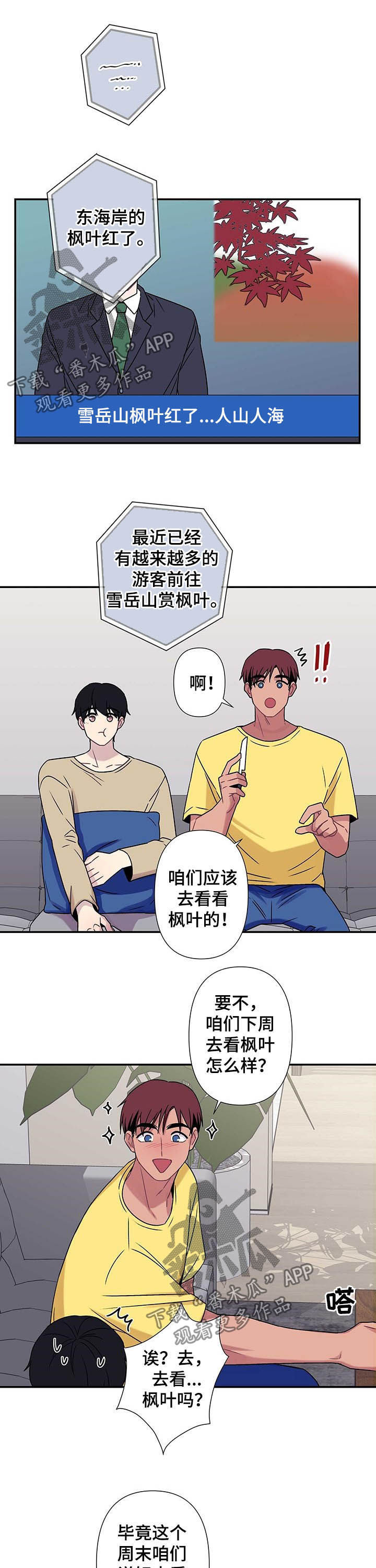 第63章：【番外】枫叶6