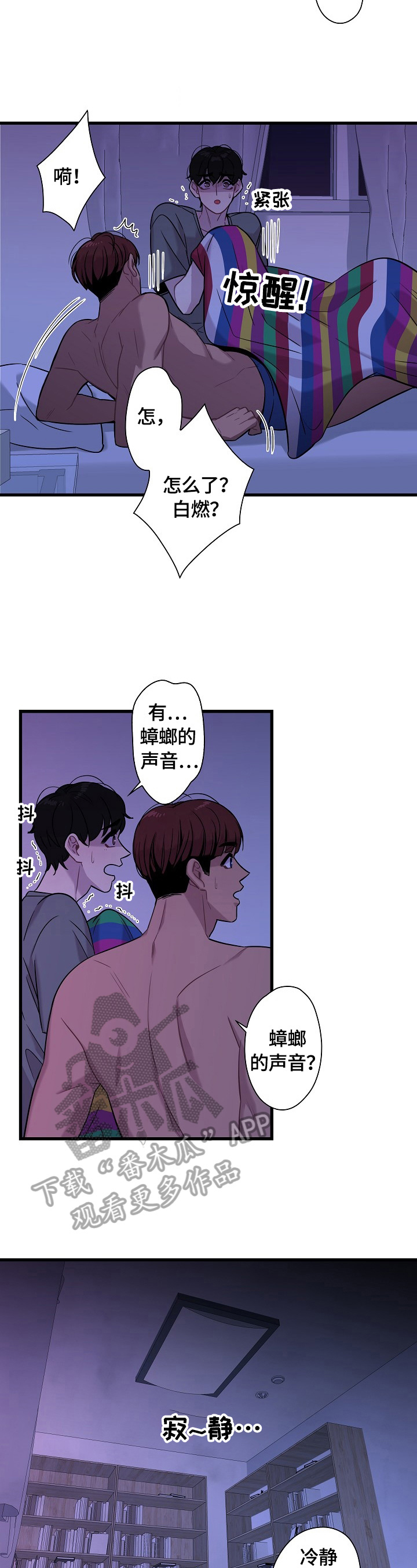 第21章：爱好1