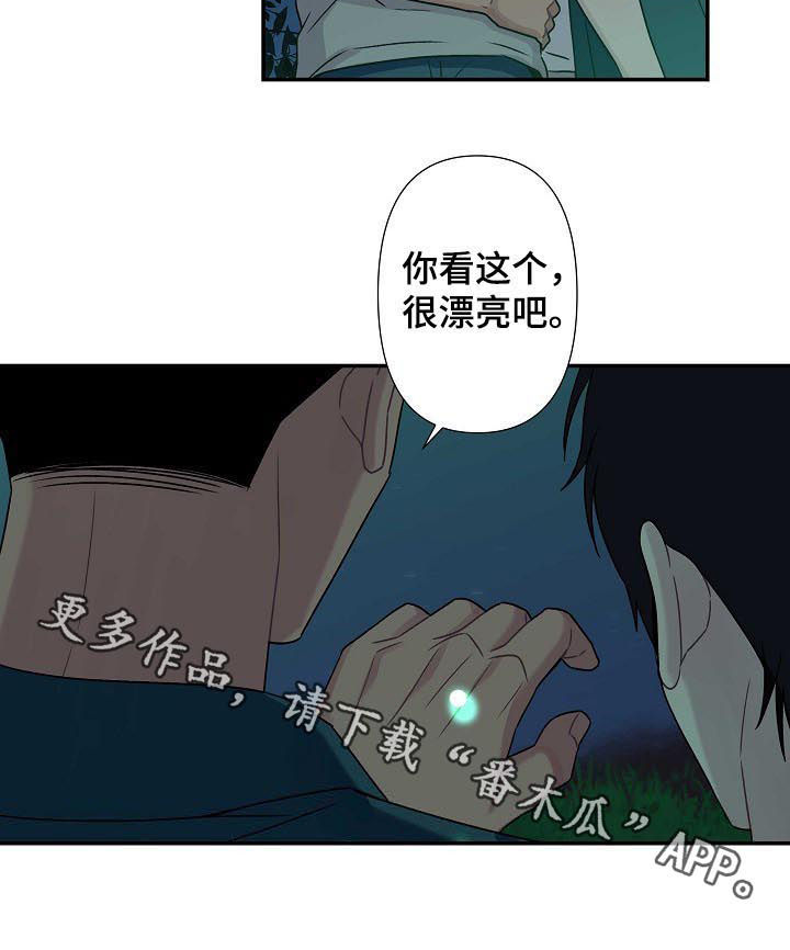 第61章：【番外】萤火虫11