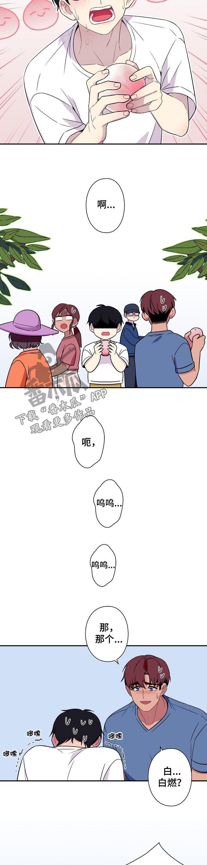 第59章：【番外】摘桃子6